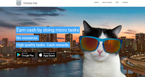 Situs dan Aplikasi Survey Online terbaik  Curious Cat