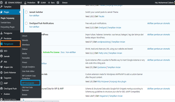 Cara mengaktifkan plugin wordpress