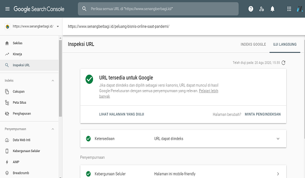 Inspeksi URL cara agar cepat terindex