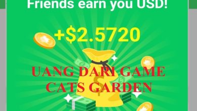 uang cats garden