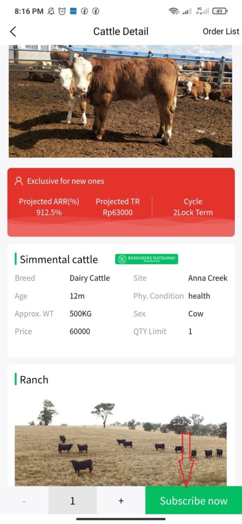 cara membeli sapi Aplikasi Happy Ranch