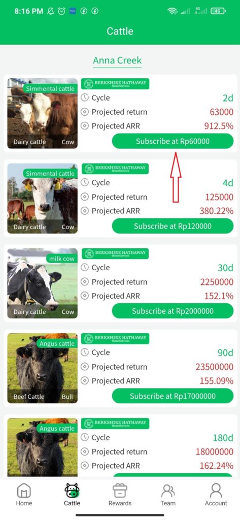 cara membeli sapi dari Aplikasi Happy Ranch