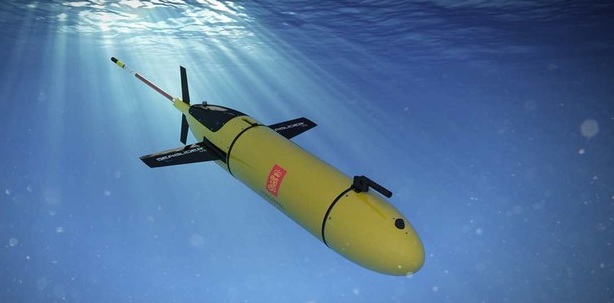 AUV (Autonomous Underwater Vehicle)