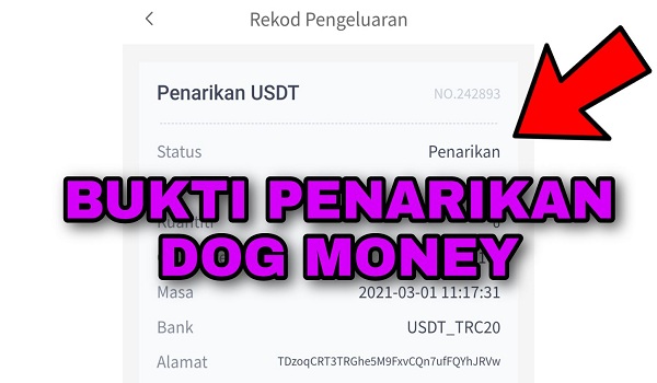 Apakah Aplikasi DOG Money Membayar ?