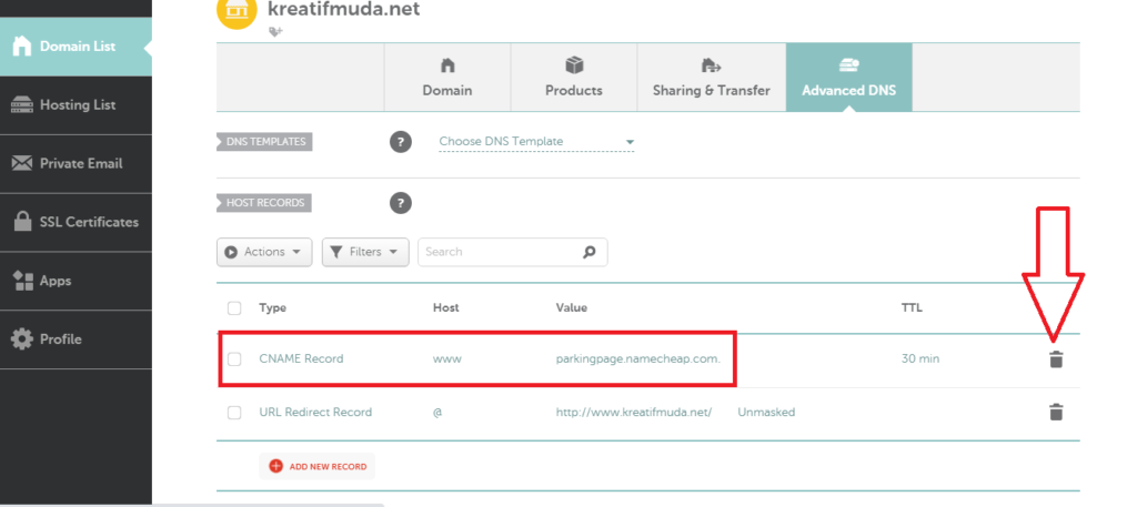 cara menghapus DNS dari situs NameCheap