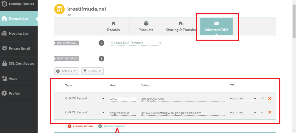 cara mengisi DNS di domain Namecheap