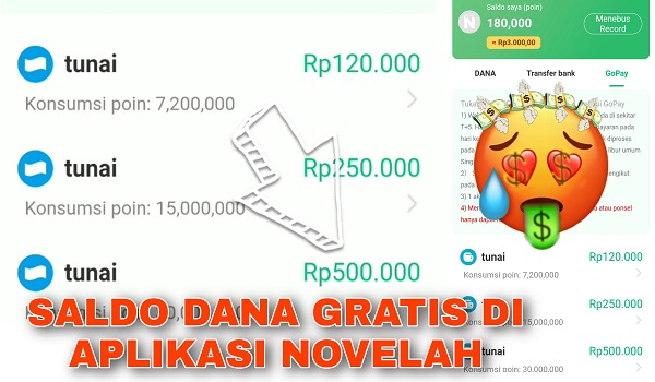 Cara Mendapatkan Uang dari Aplikasi Novelah Android