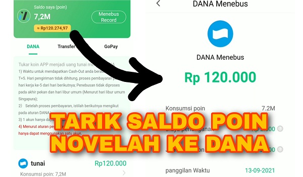 Cara Menarik Saldo Aplikasi Novelah ke DANA Terbaru