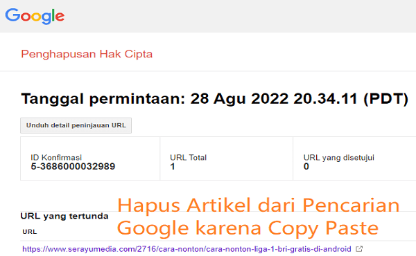 Cara Menghapus Artikel Hasil Copy Paste dari Website kita di Pencarian Google