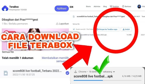 Cara Mudah Download File Terabox di Hp Android