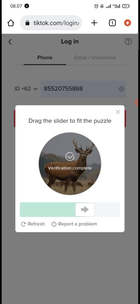 cara verifikasi gambar login di tiktok seller