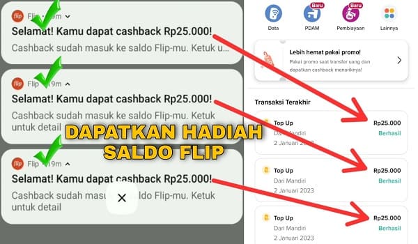 Cara Mendapatkan Hadiah Saldo Flip Terbaru 2023